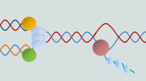 lab graphic