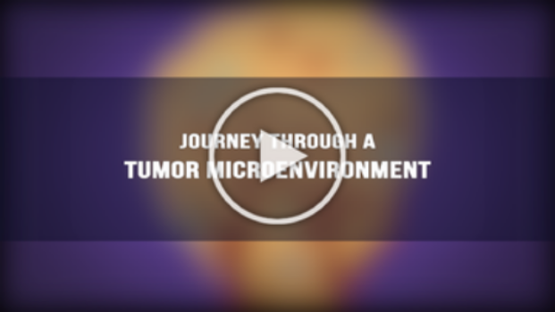 tumor journey animated video