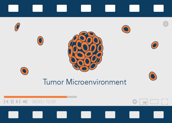 animated videos